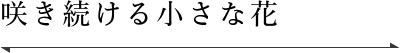 咲き続ける小さな花