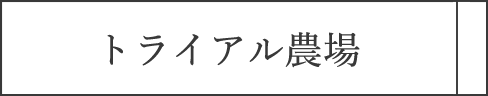 トライアル農場