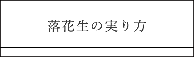 落花生の実り方