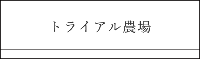 トライアル農場