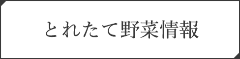 とれたて野菜情報