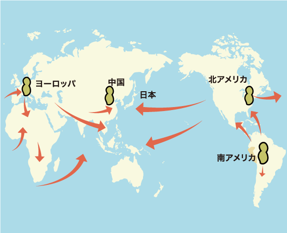 落花生の原産地