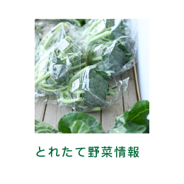 水曜日は野菜がいっぱいイメージ