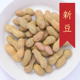 【新豆情報】　新豆一番「ゆで落花生郷の香」販売しました。　（2024.09.01）イメージ