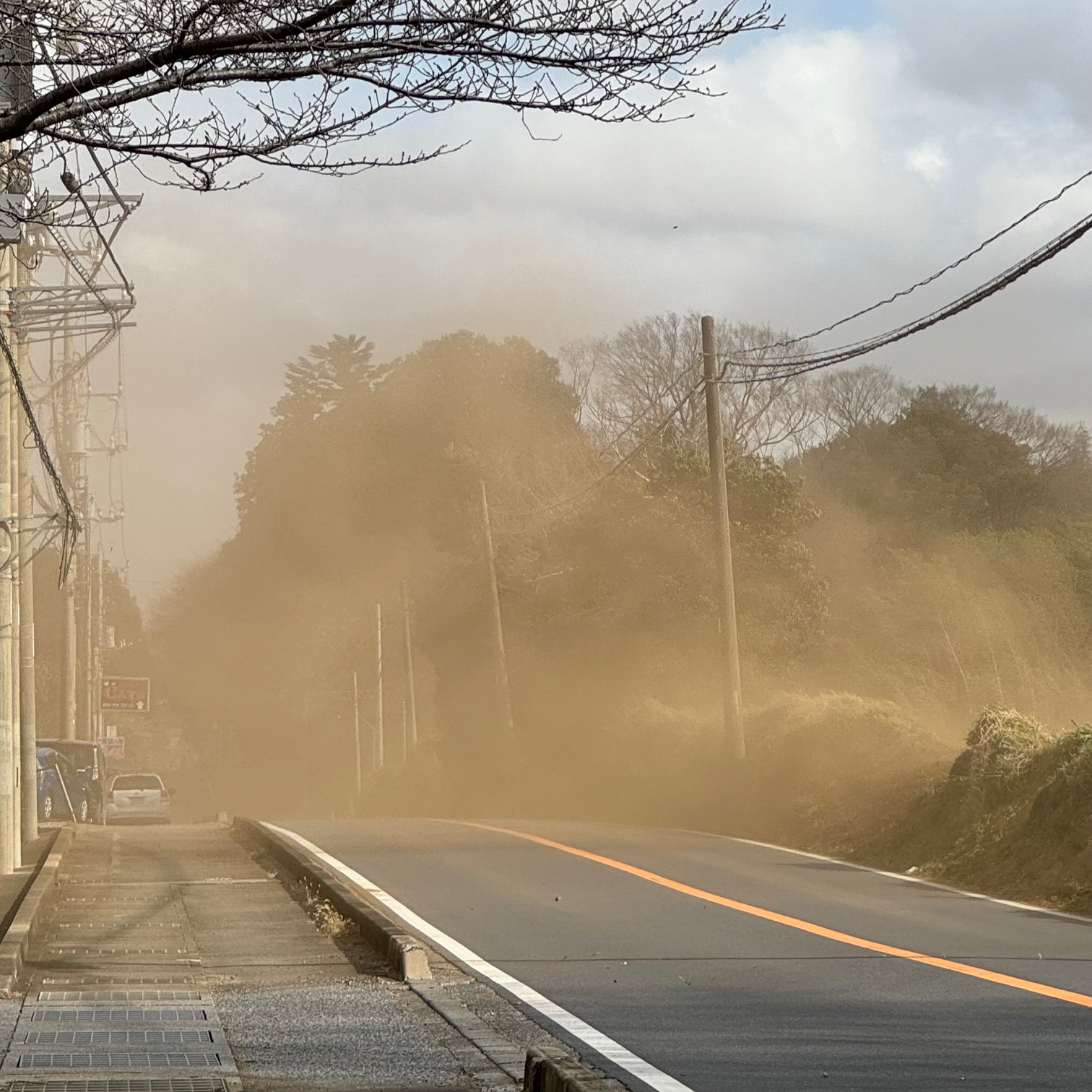 八街の春一番イメージ