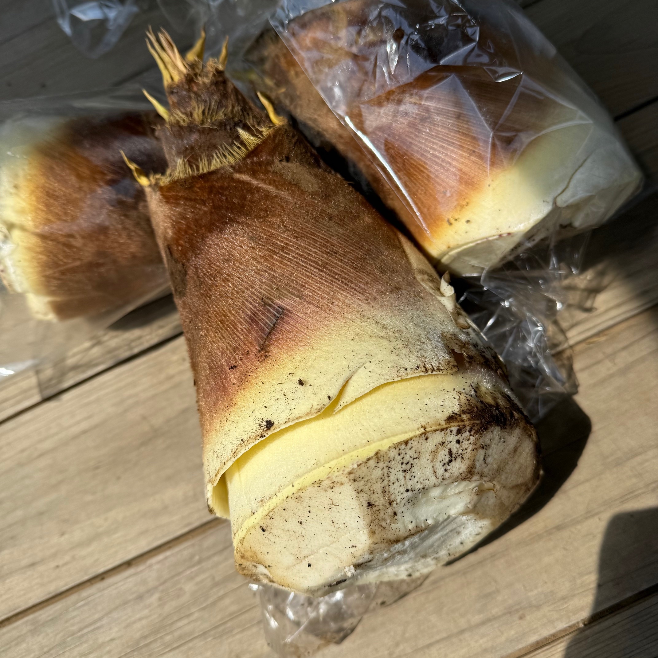 新着情報画像